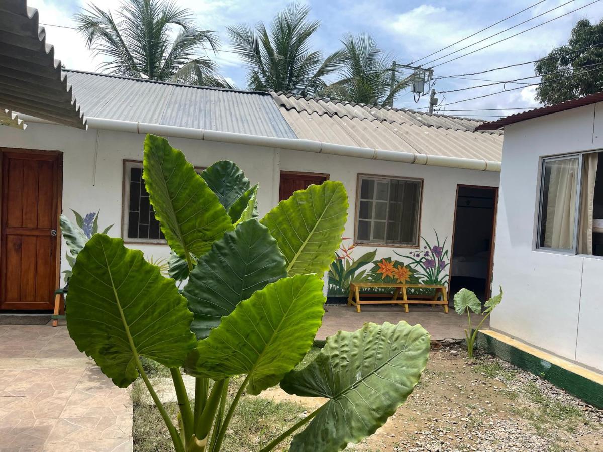 Palomino Hostel ภายนอก รูปภาพ