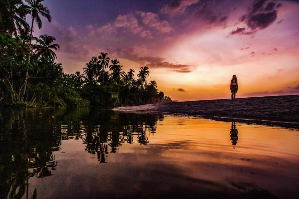 Palomino Hostel ภายนอก รูปภาพ