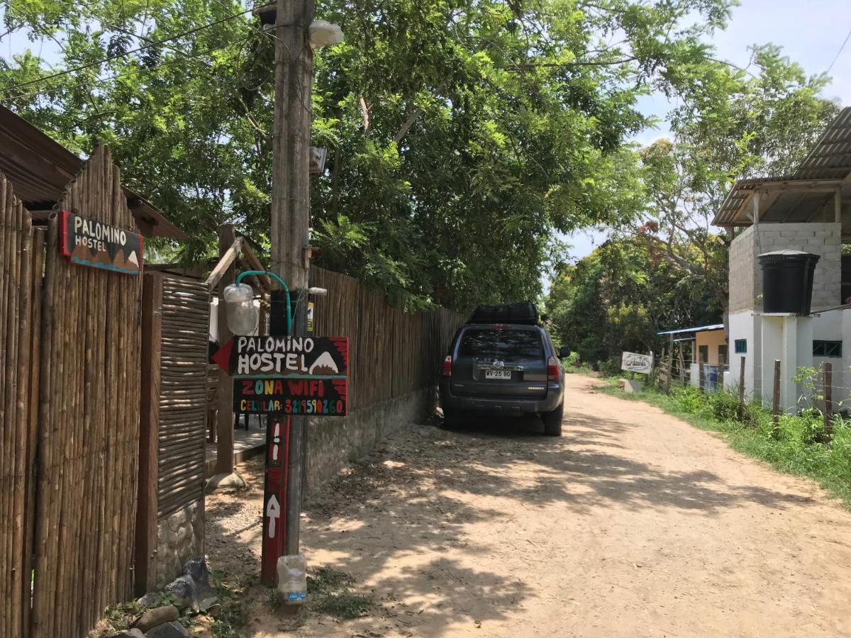 Palomino Hostel ภายนอก รูปภาพ